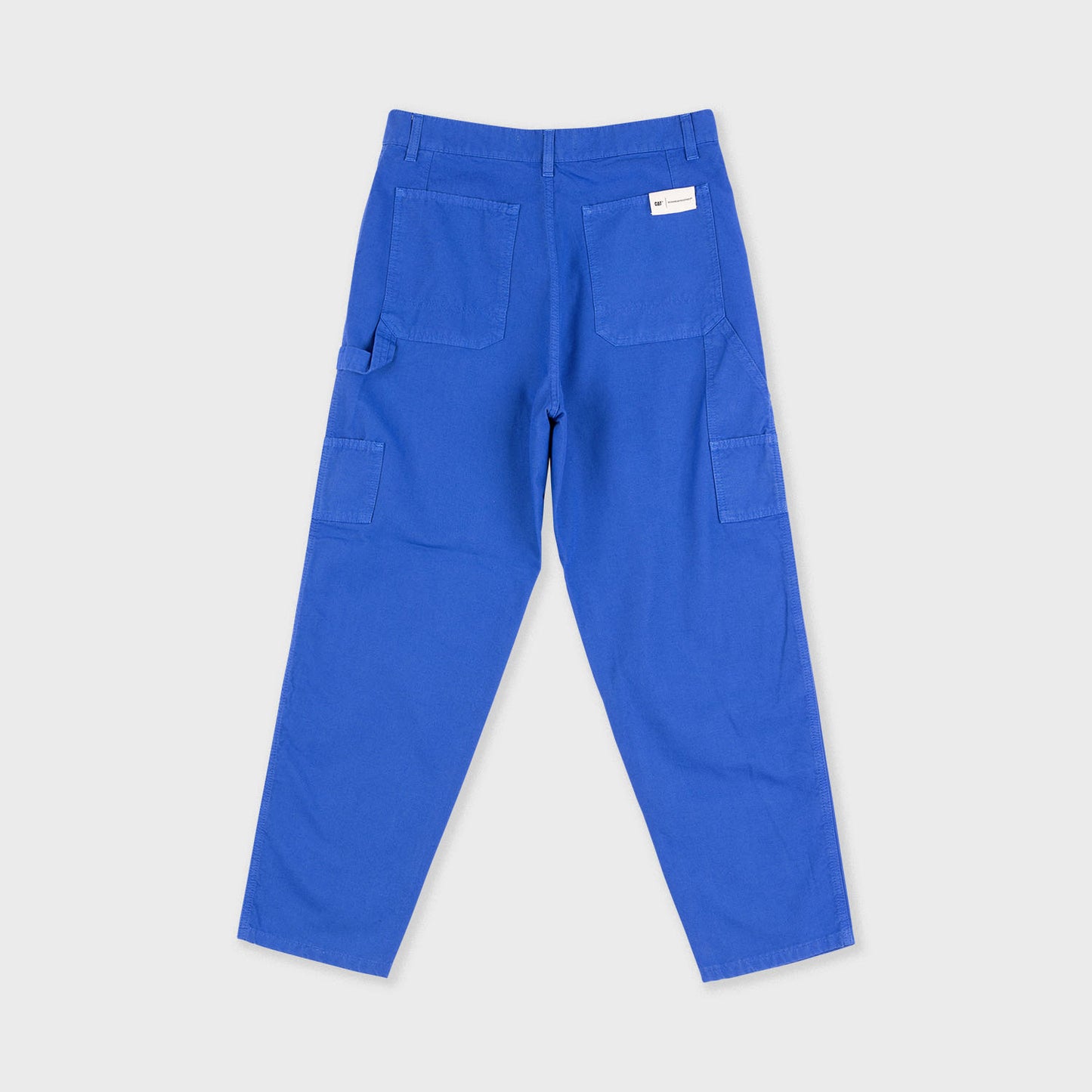 Light Canvas Painter Pant