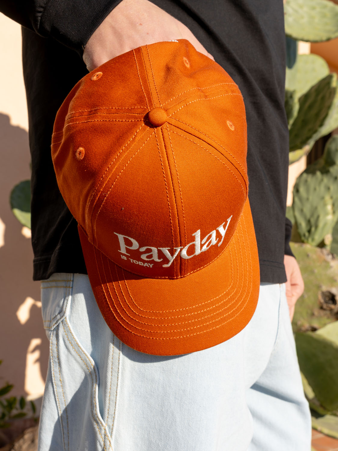 Payday Hat